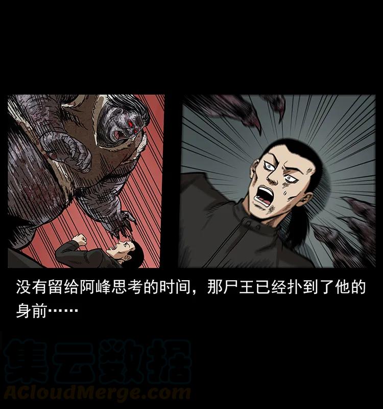 幽冥诡匠 208 哪来的尸王 第69页