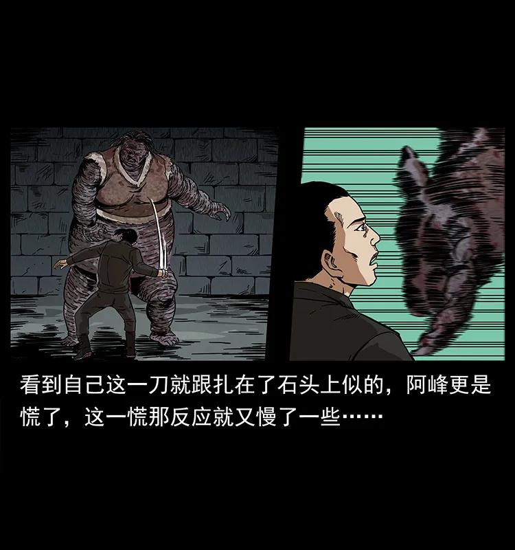 幽冥诡匠 208 哪来的尸王 第64页