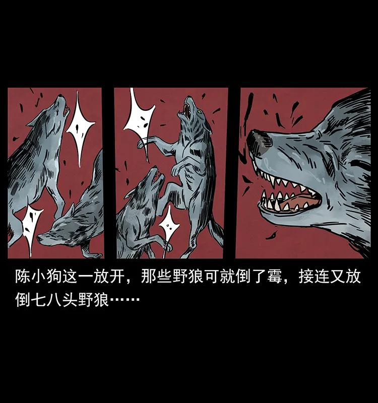 幽冥诡匠 212 草原深处 第47页