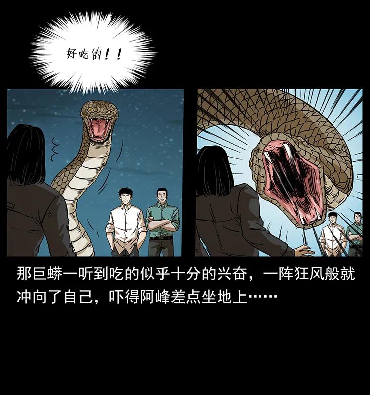 幽冥诡匠 212 草原深处 第35页