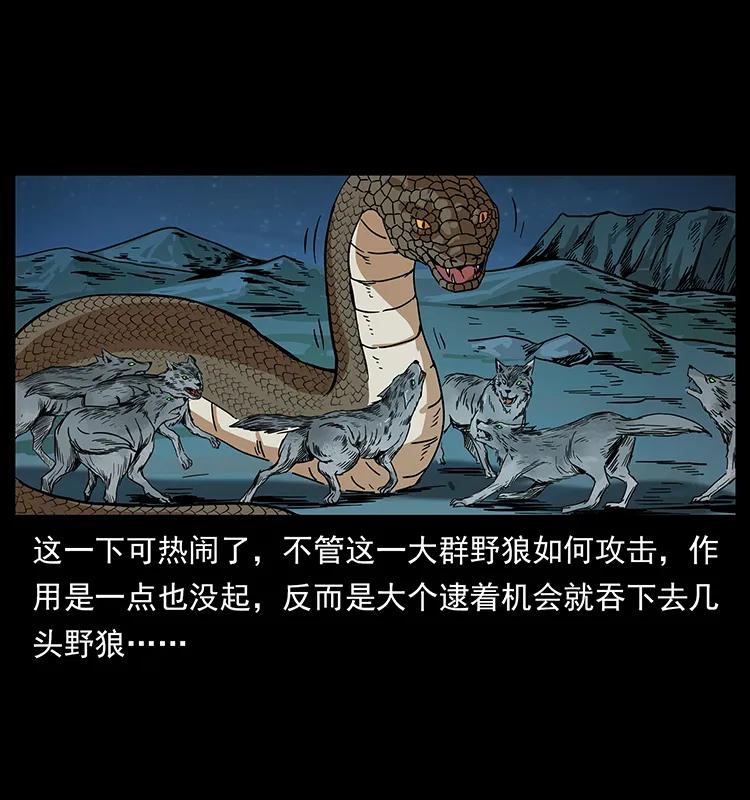 幽冥诡匠 212 草原深处 第42页