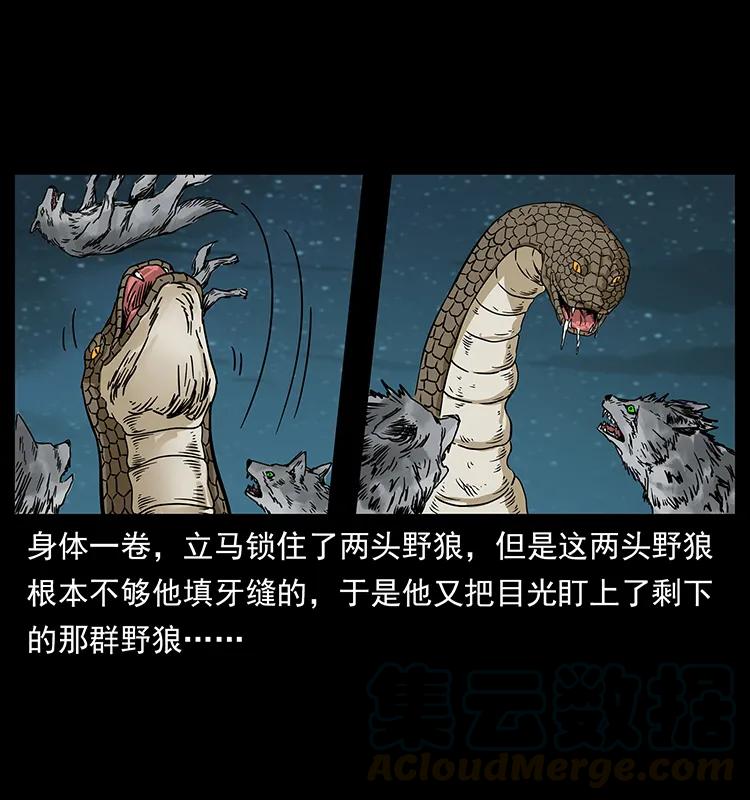 幽冥诡匠 212 草原深处 第41页