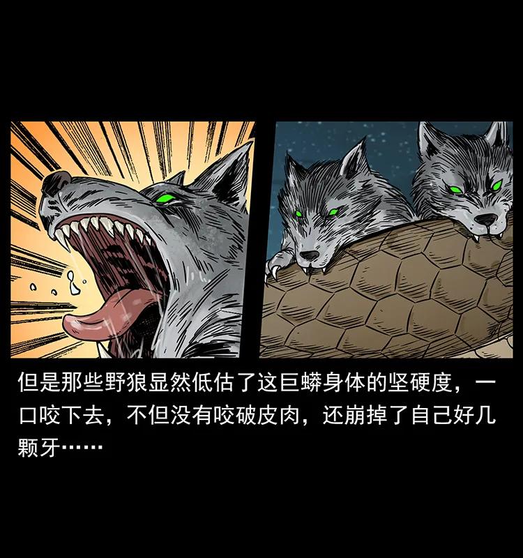 幽冥诡匠 212 草原深处 第39页