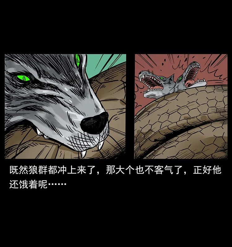 幽冥诡匠 212 草原深处 第40页