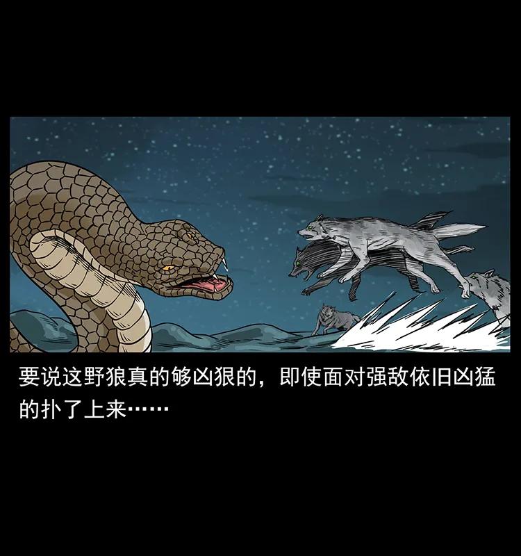幽冥诡匠 212 草原深处 第38页