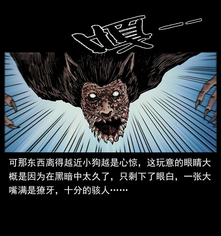 幽冥诡匠 213 入皇陵 第10页