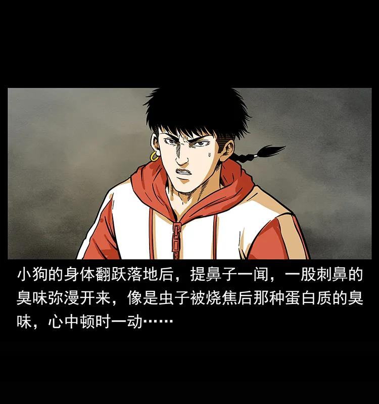幽冥诡匠 218 阴山极柱 第35页