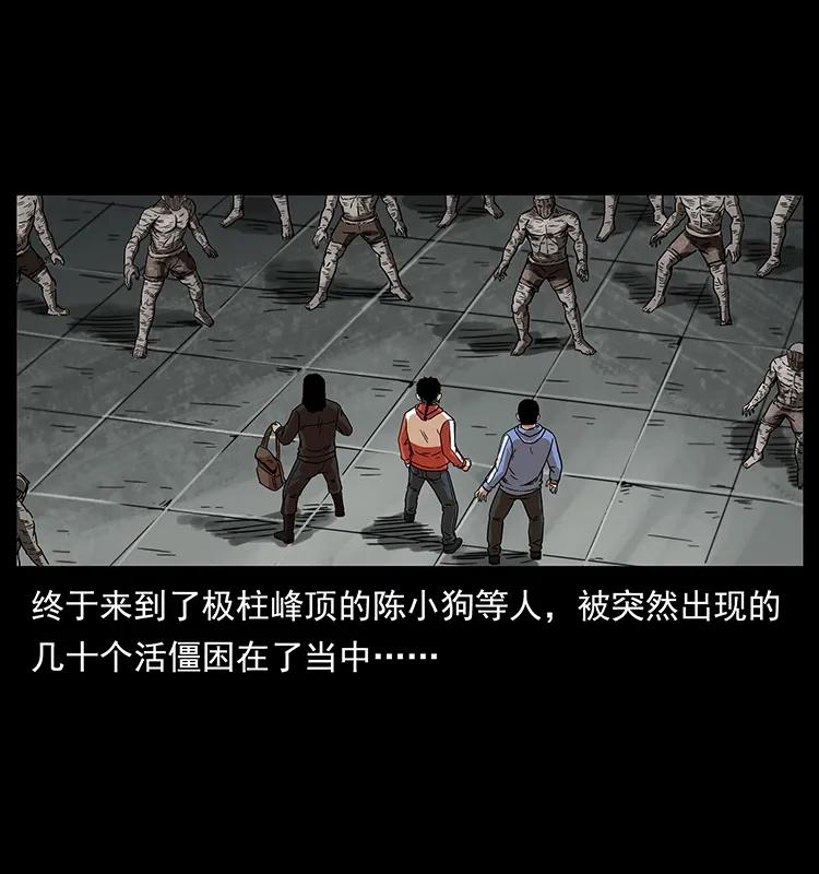 幽冥诡匠 219 蚩龙抬棺 第2页