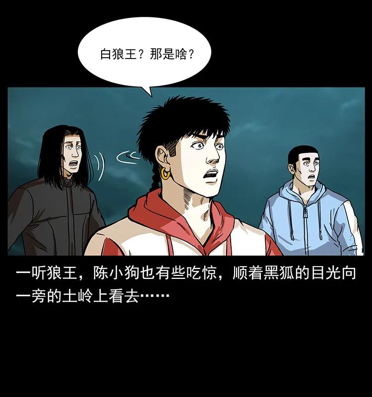 幽冥诡匠 220 漠北白狼王 第78页