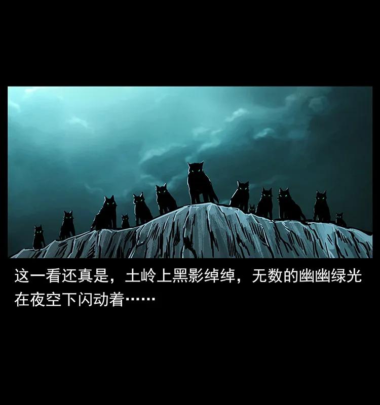 幽冥诡匠 220 漠北白狼王 第79页