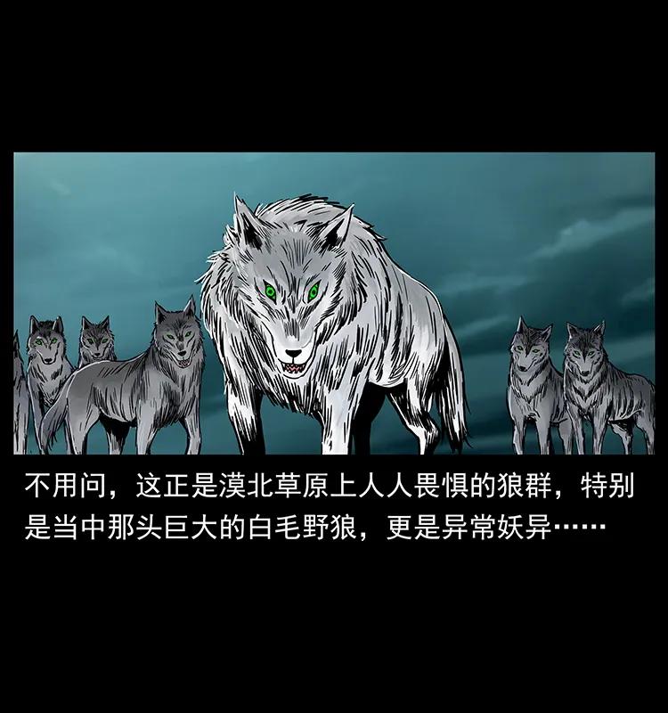 幽冥诡匠 220 漠北白狼王 第80页