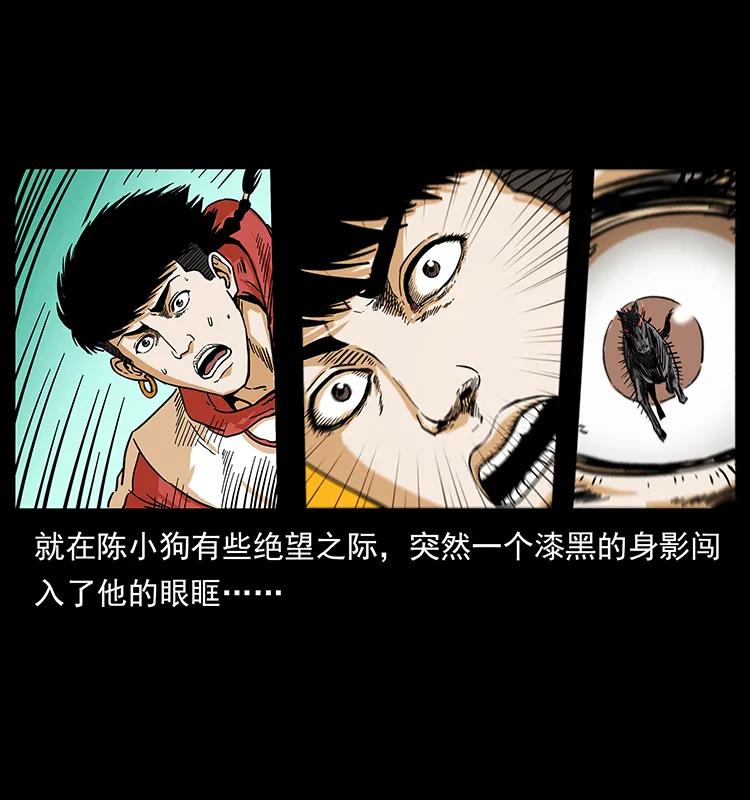 幽冥诡匠 220 漠北白狼王 第50页