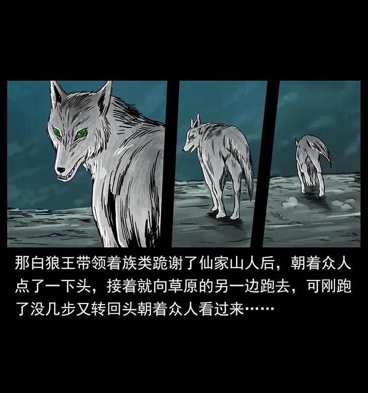 幽冥诡匠 221 凶宅中介人 第11页
