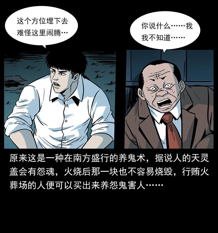 幽冥诡匠 222 凶宅笔记 第66页