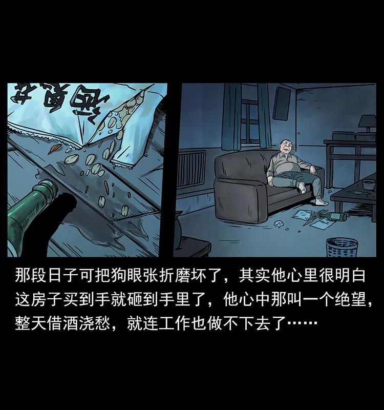 幽冥诡匠 223 养鬼人 第12页