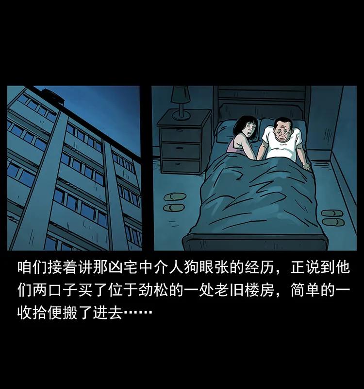 幽冥诡匠 223 养鬼人 第2页
