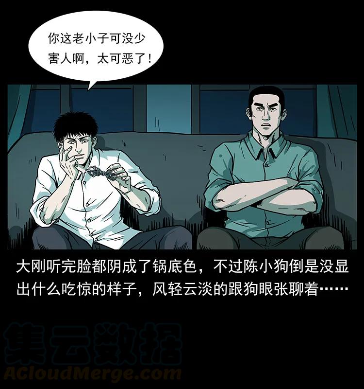 幽冥诡匠 223 养鬼人 第49页