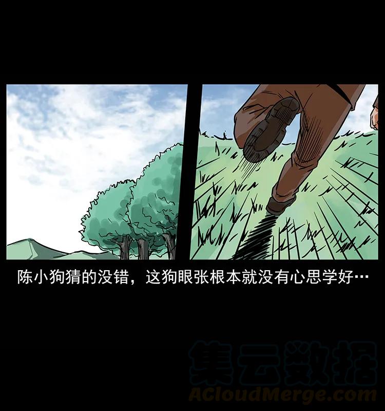 幽冥诡匠 223 养鬼人 第57页
