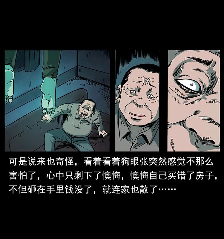 幽冥诡匠 223 养鬼人 第15页