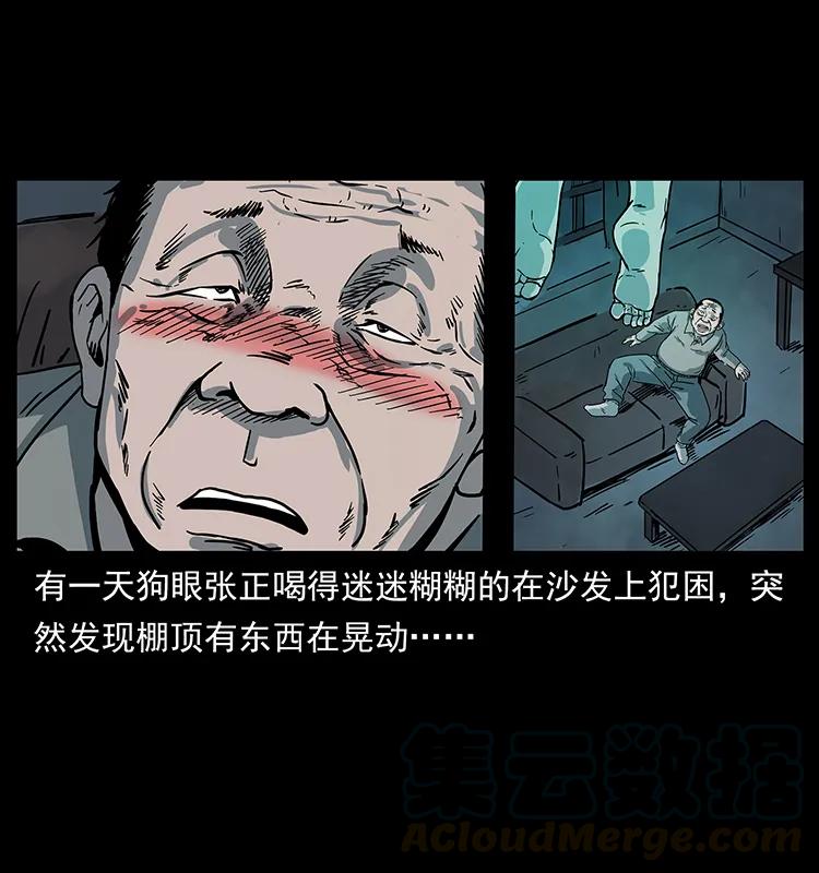 幽冥诡匠 223 养鬼人 第13页
