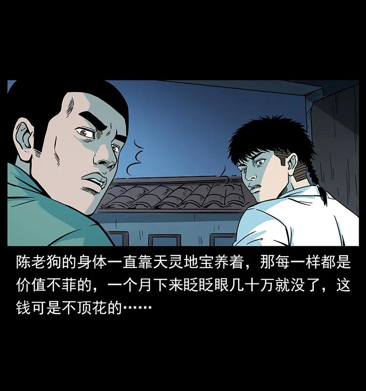 幽冥诡匠 225 各有喜忧 第28页