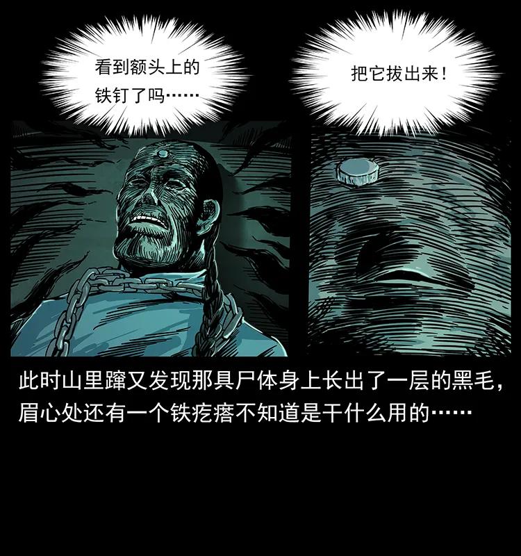 幽冥诡匠 226 铁棺塚 第66页