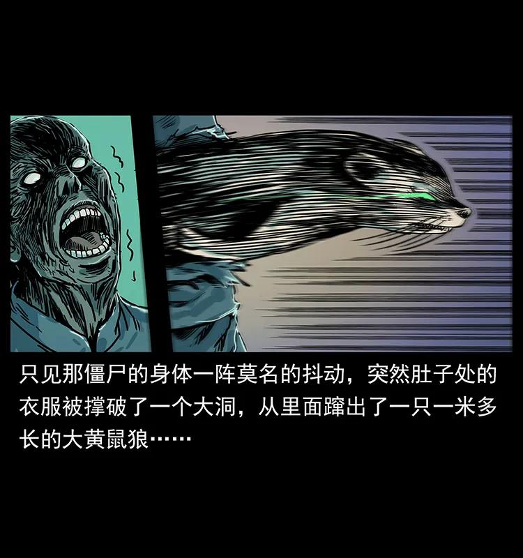 幽冥诡匠 226 铁棺塚 第76页
