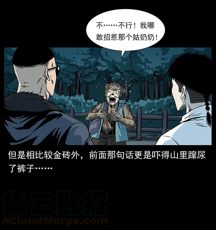 幽冥诡匠 227 猴脑 第41页