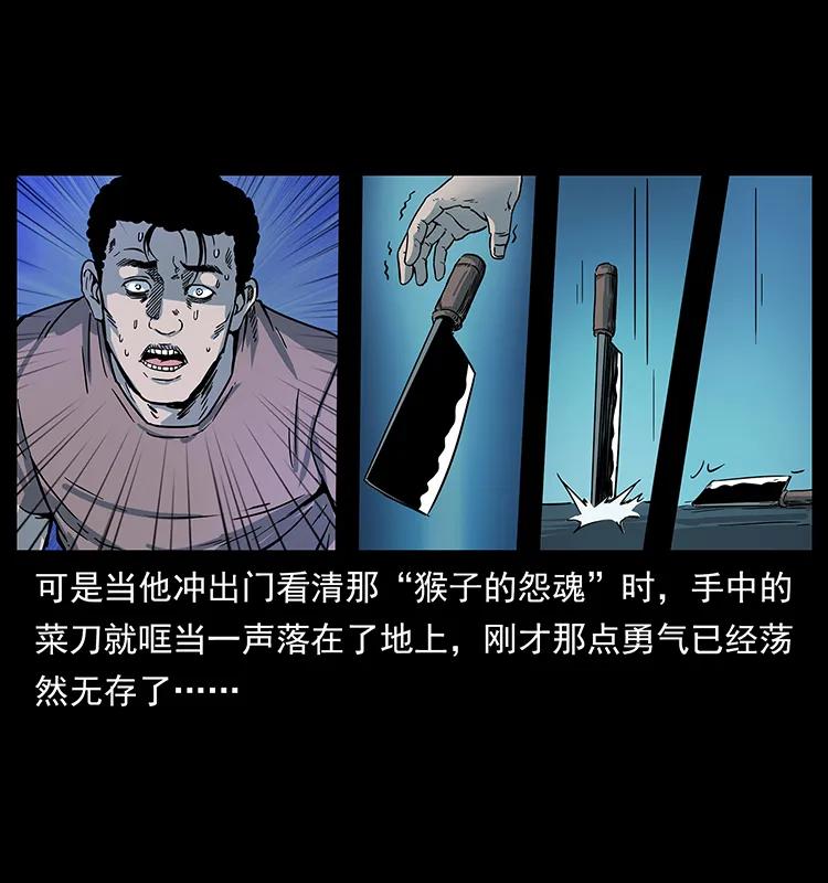 幽冥诡匠 228 凶兽 第44页