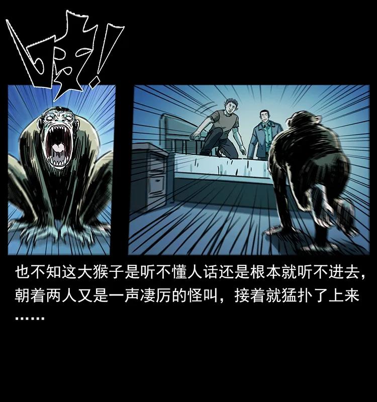 幽冥诡匠 228 凶兽 第72页