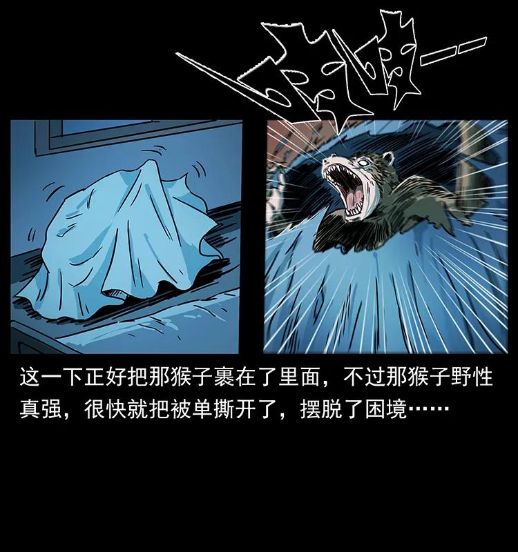 幽冥诡匠 228 凶兽 第68页
