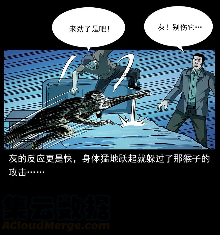 幽冥诡匠 228 凶兽 第73页