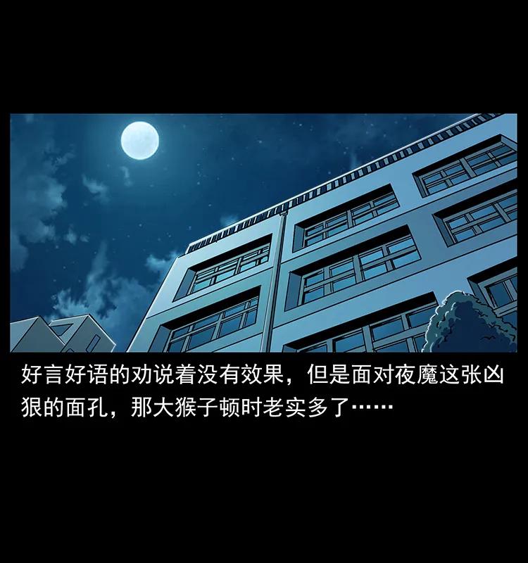 幽冥诡匠 229 东海龙骨 第6页