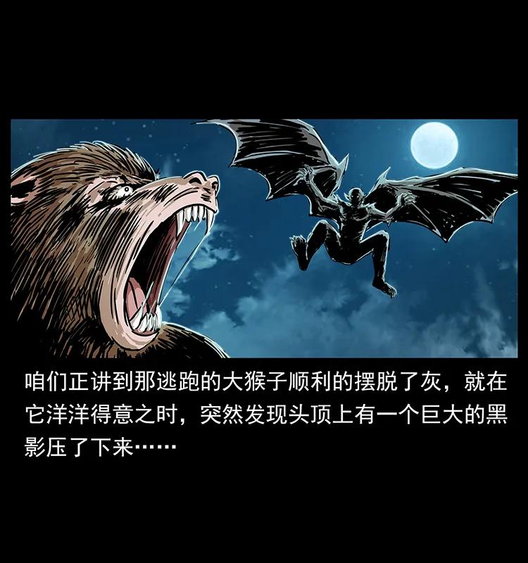 幽冥诡匠 229 东海龙骨 第2页