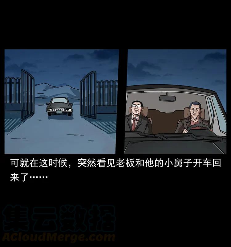 幽冥诡匠 230 生桩 第21页