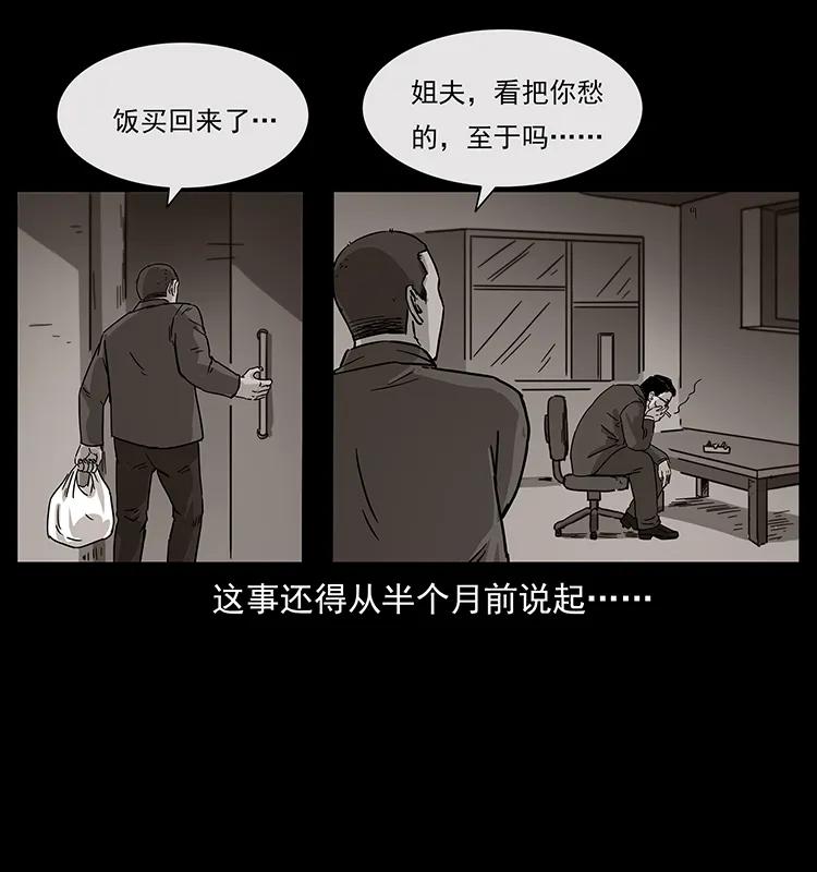 幽冥诡匠 230 生桩 第62页
