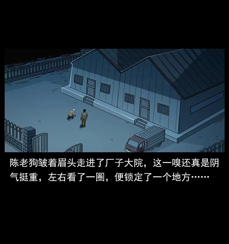 幽冥诡匠 230 生桩 第50页