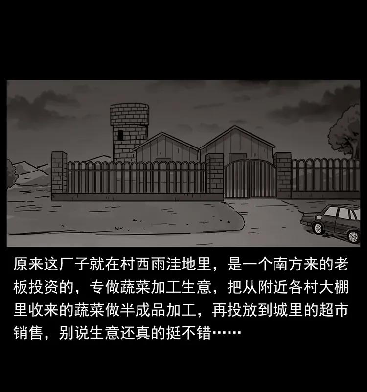 幽冥诡匠 230 生桩 第18页
