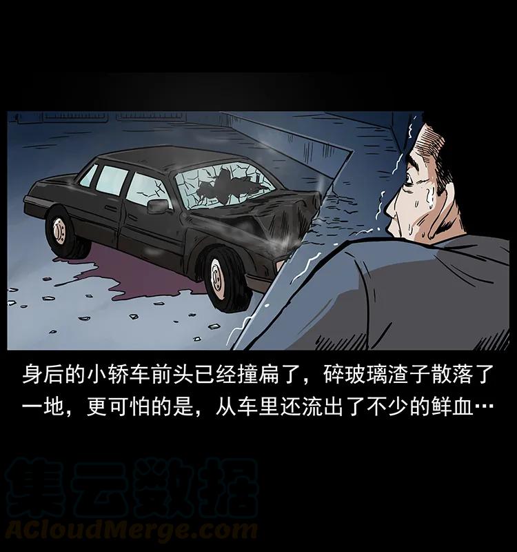 幽冥诡匠 230 生桩 第29页