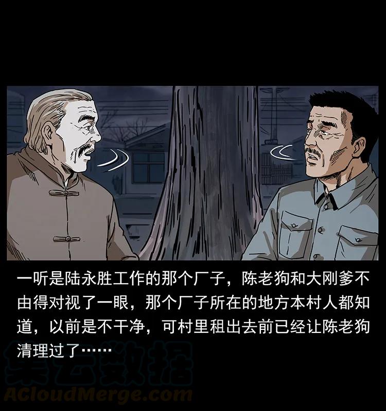 幽冥诡匠 230 生桩 第13页