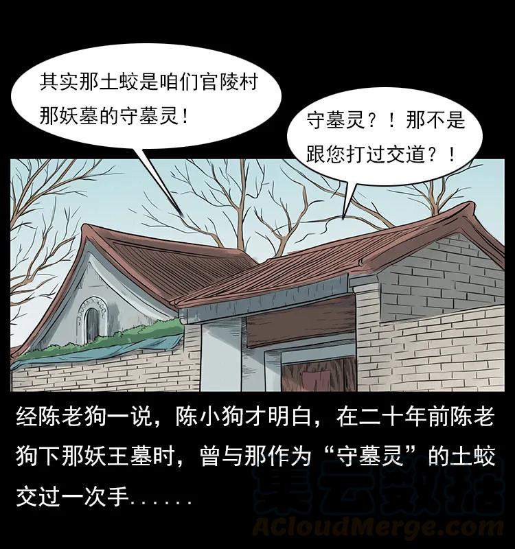 幽冥诡匠 023 守墓妖灵 第9页