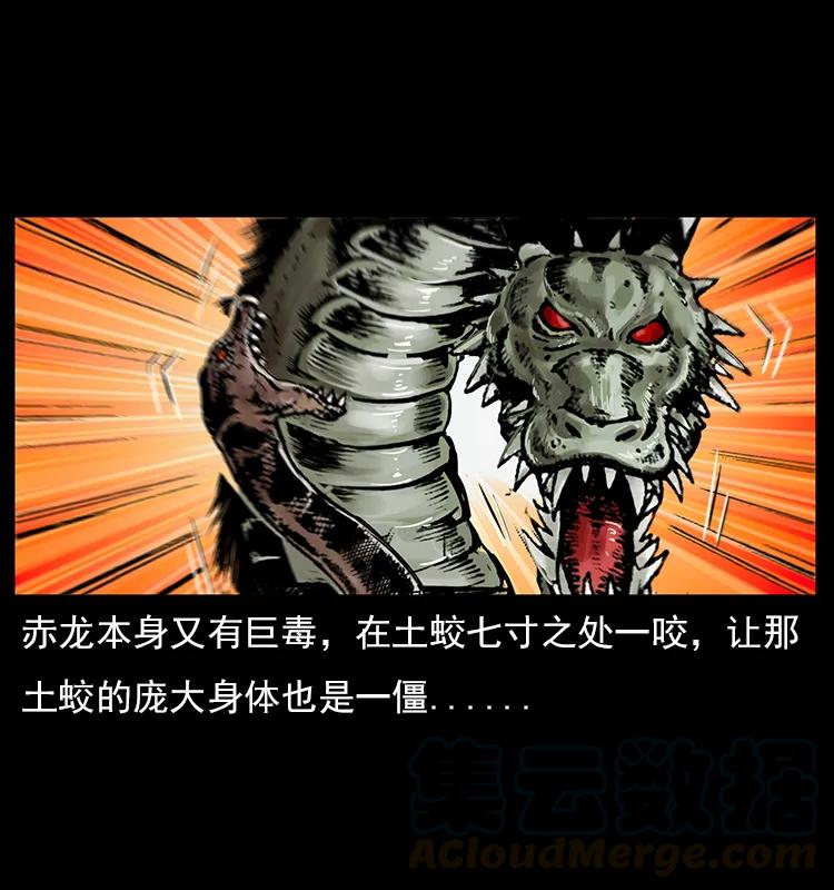 幽冥诡匠 023 守墓妖灵 第37页