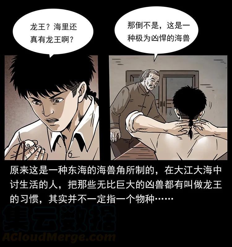 幽冥诡匠 233 又见养鬼人 第9页