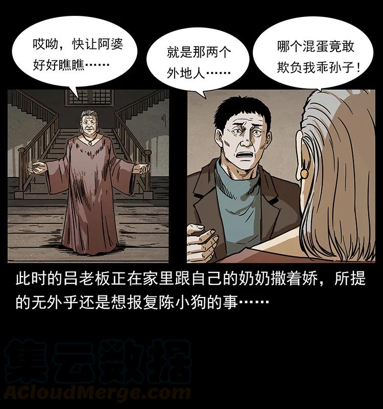 幽冥诡匠 234 养鬼人的地盘 第5页