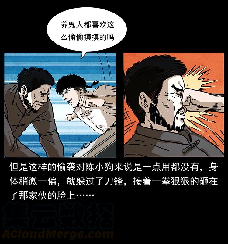 幽冥诡匠 234 养鬼人的地盘 第29页
