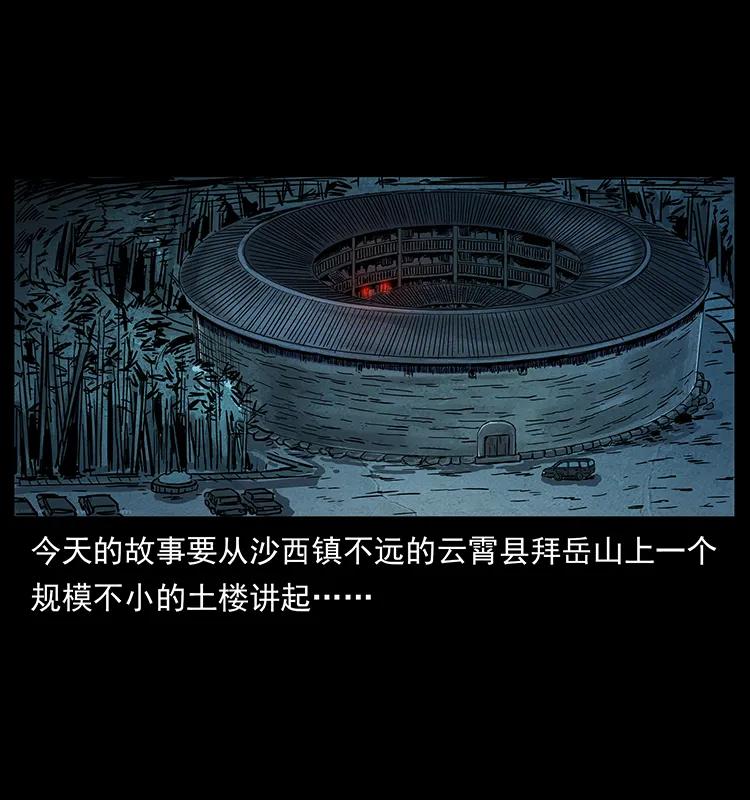 幽冥诡匠 234 养鬼人的地盘 第2页