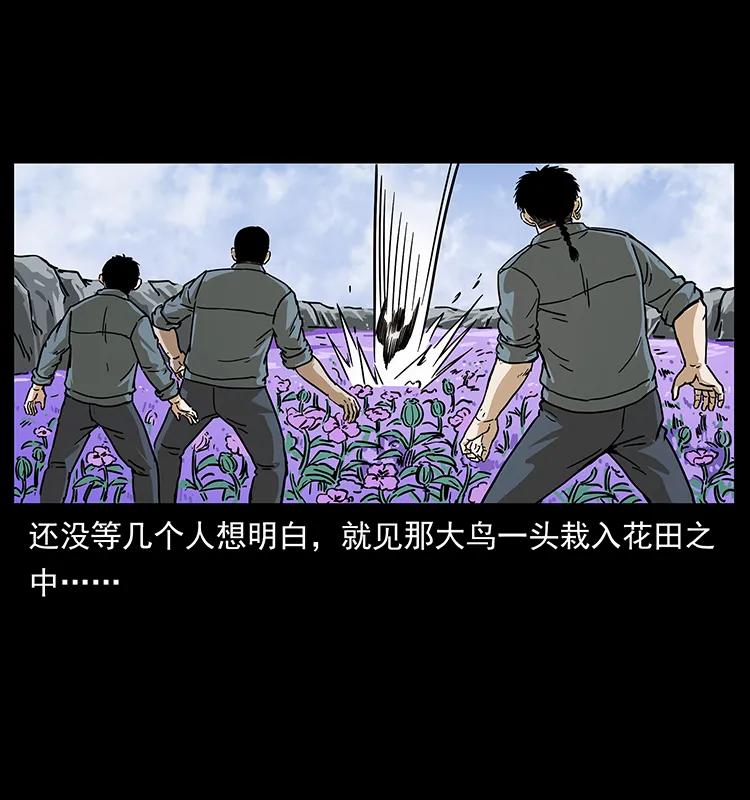 幽冥诡匠 236 神秘的小岛 第51页