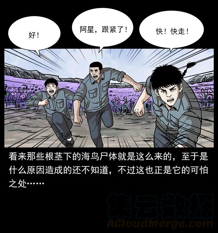 幽冥诡匠 236 神秘的小岛 第53页