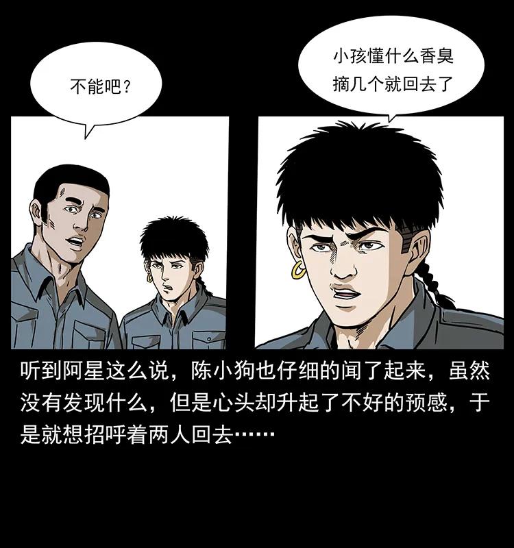幽冥诡匠 236 神秘的小岛 第44页