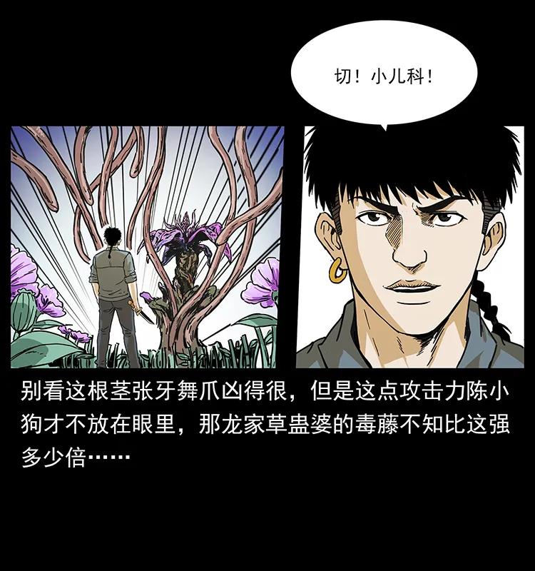 幽冥诡匠 236 神秘的小岛 第66页